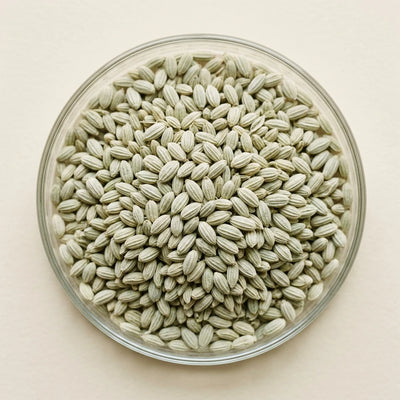 Cnidium Monnieri