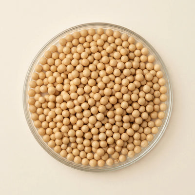 Kochia Scoparia