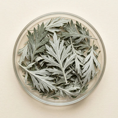 Ligusticum Chuanxiong