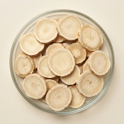 Angelica Sinensis